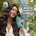 Shampoo Repair Arganöl  Herbal Essences