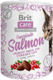 Chrumkavá pochúťka pre mačky Care Superfruits Salmon Brit