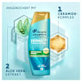 Shampoo Kopfhautpflege Derma  head&shoulders