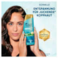 Shampoo Kopfhautpflege Derma  head&shoulders