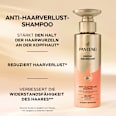 Shampoo Grow Abundant Anti-Haarverlust PANTENE PRO-V