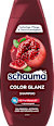Shampoo Color Glanz schauma
