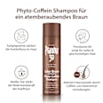 39 Color Braun Phyto-Coffein Shampoo Plantur 39