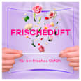 Slipeinlagen Daily Fresh Normal Flexistyle Big Pack always