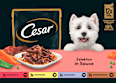 Nassfutter Hund Selektion in Sauce (12 x 100g) Cesar