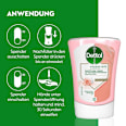 Flüssigseife No-Touch Sheabutter & Rosen Nachfüllpack Dettol