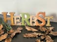 Holzschriftzug "Herbst" mit Goldsprenkel (28,5 cm) Dekorieren & Einrichten
