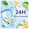 Weichspüler Freshness Guard Lenor