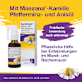 Kamillosan Mund- und Rachenspray zur Anwendung in der Mundhöhle Kamillosan