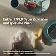 Hygienereiniger Desinfektion Birne Dettol