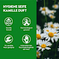 Handseife No-Touch Nachfüller Kamille Dettol