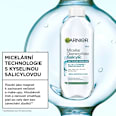 micelární voda Salicylic GARNIER