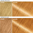 Farb-Glanzbehandlung Glossing Old Money Blonde GARNIER olia