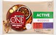 Mini Dog Active kapsičky pro psy hovězí, kachna ve šťávě 4x85g PURINA ONE