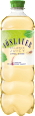 Osviežujúci nápoj Balance JUICY - jablko-mäta VÖSLAUER