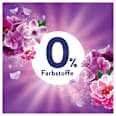 Weichspüler Amethyst Blütentraum Lenor
