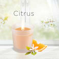 Duftkerze im Glas Citrus 105 g AIR WICK