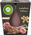 Duftkerze im Glas Sandelholz & Wildrose 105 g AIR WICK