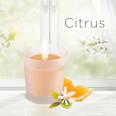 Duftkerze im Glas Citrus 220 g AirWick