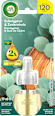 Lufterfrischer Duftstecker Eukalyptus & Zedernholz Nachfüllpack AIR WICK