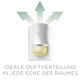 Lufterfrischer Duftstecker Eukalyptus & Zedernholz Nachfüllpack AIR WICK