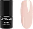 Starter Set Color Favorites NÉONAIL