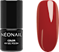 Starter Set Color Favorites NÉONAIL