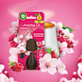 Lufterfrischer Aroma-Öl Kirschblüte & Himbeere AIR WICK