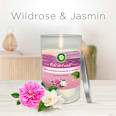 Duftkerze im Glas Beruhigende Wildrose & Jasmin 310 g AIR WICK