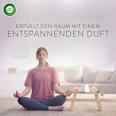 Lufterfrischer Aroma-Öl Verwöhnende Vanille Nachfüllpack AIR WICK