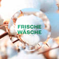 Lufterfrischer für Bad & kleine Räume Frische Wäsche AIR WICK