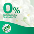 Lufterfrischer für Bad & kleine Räume Frische Wäsche AIR WICK