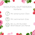 Duftkerze im Glas Raspberry Rose Splash 105 g AIR WICK