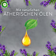 Lufterfrischer Aroma-Öl  Entspannender Lavendel Nachfüllpack AIR WICK