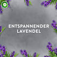 Lufterfrischer Aroma-Öl  Entspannender Lavendel Nachfüllpack AirWick