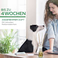 Duftvase mit Aromaperlen Sommervergnügen AIR WICK