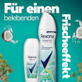 Antitranspirant Deospray Cooling Eucalyptus & Coconut Water Rexona