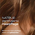Shampoo Hydro Shine WELEDA