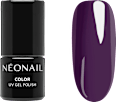 Nageldesign-Zubehör Starter Set Color Favorites NÉONAIL