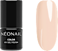 Nageldesign-Zubehör Starter Set Color Favorites NÉONAIL