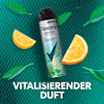 Antitranspirant Deospray Cooling Iced Lemon & Sage Scent Rexona men