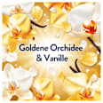 Weichspüler Goldene Orchidee 87 WL Lenor