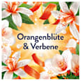 Weichspüler Orange & Verbene, 42 WL Lenor