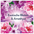 Weichspüler Amethyst Blütentraum 87 WL Lenor