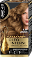 Боя за коса - Nr.8-60 Honey Blond syoss Oleo Intense