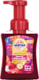 Schaumhandseife Berry Rebel  Sagrotan