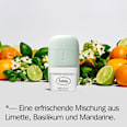 Deostick Set Tropic Tonic + Nachfüllpack Fussy