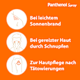 Panthenol Spray 46,3 mg/g Dexpanthenol Schaum zur Anwendung auf der Haut  PANTHENOL