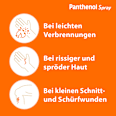 Panthenol Spray 46,3 mg/g Dexpanthenol Schaum zur Anwendung auf der Haut  PANTHENOL