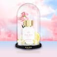 Dream by Lola Eau de Parfum Anima Aromatics